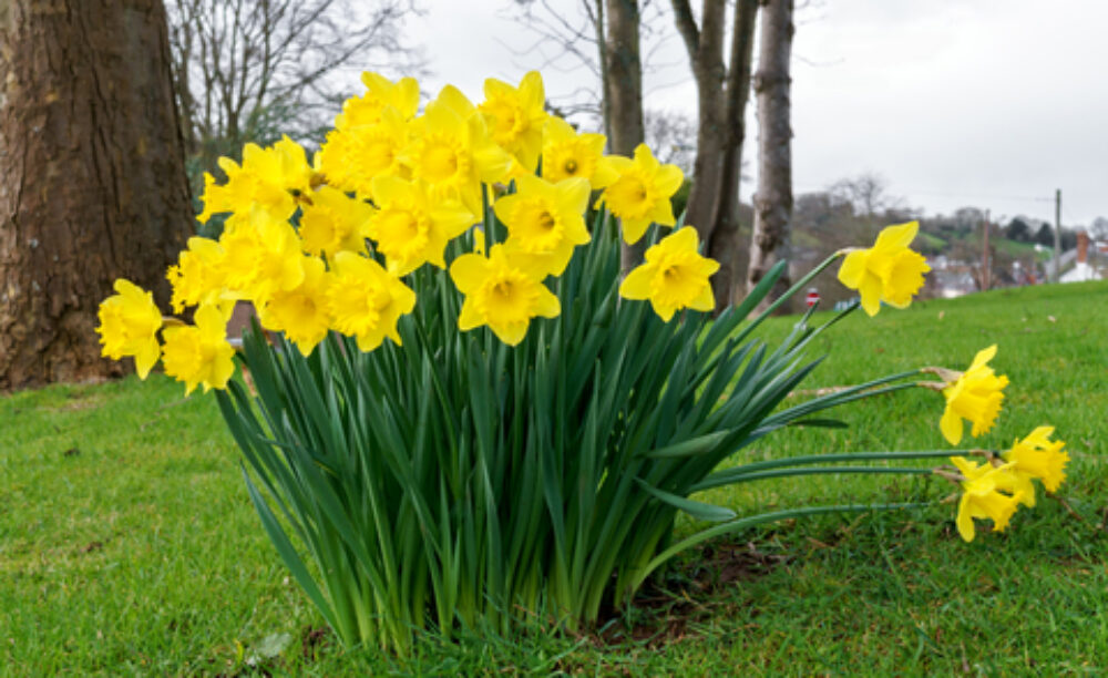 Beads At Dusti Creek
